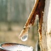 соки (1)